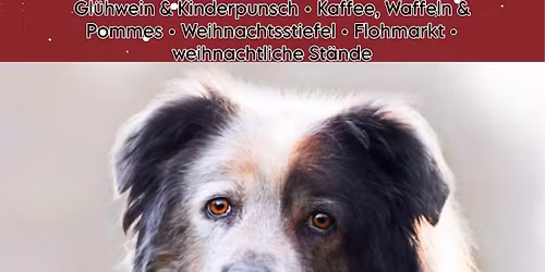 Weihnachtsmarkt im Tierheim Osterode