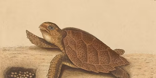 Winter Antiques & Design