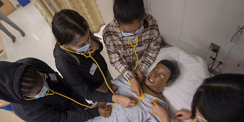 Hands-On Introduction to Medical Simulation