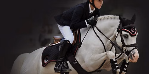Washington International Horse Show