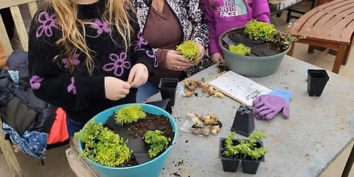 Fairy Garden Class