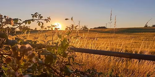 Music, Mulled Wine and Mince Pies