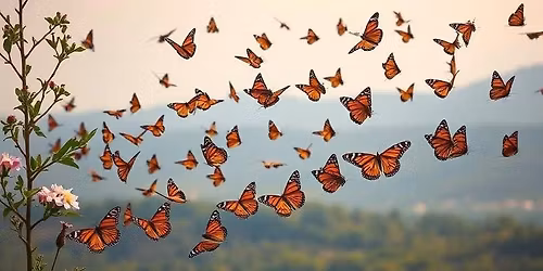 Annual Butterfly Release 2026 - 1500 Butterflies!! 