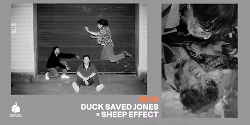 DUCK SAVED JONES \u00d7 SHEEP EFFECT | TAMSTA