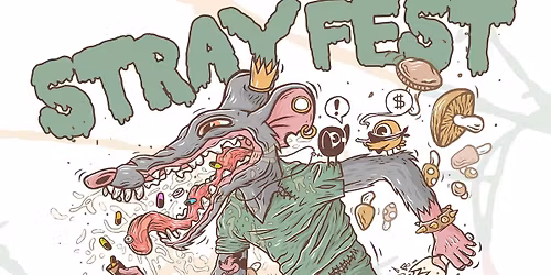 Stray Fest 2025