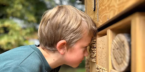 Insektdag i Botanisk hage
