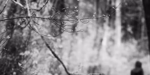 Concerts Luminous Dash: HEAD ON STONE (Nele de PEUK) + KOCAZE