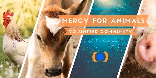 Mercy For Animals Volunteer Leafletting\/Petition Signing to Protest Compass Group's Frankenchickens