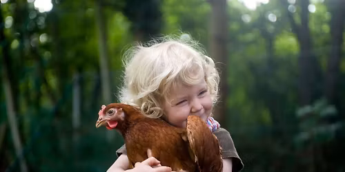 \ud83d\udc23 Backyard Chicken Keeping Class