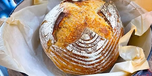 Intro to Sourdough with Sonya Gammal