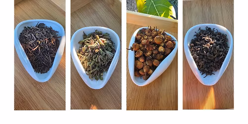 December Tea Tasting @ HOWL