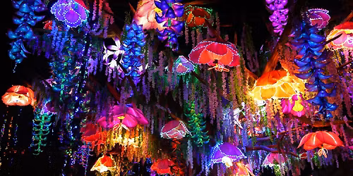 All the Glitters Night