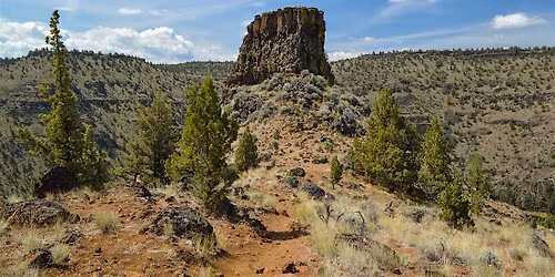 Botany Bonanza at Chimney Rock