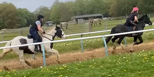 \ud83c\udfc7 Gallops at the Northern Racing College \ud83c\udfc7