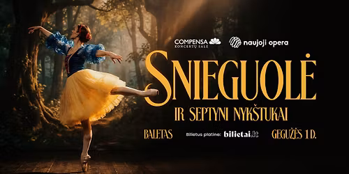 BALETAS SNIEGUOL\u0116 IR 7 NYK\u0160TUKAI \/ VILNIUS \/ 05.01