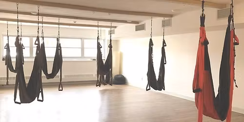 2hr Introduction to Suspension Yoga Playshop $44