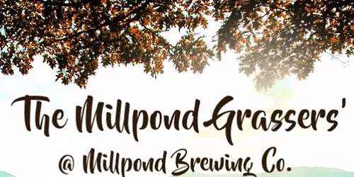 Live Bluegrass @ Millpond Brewing Co. 
