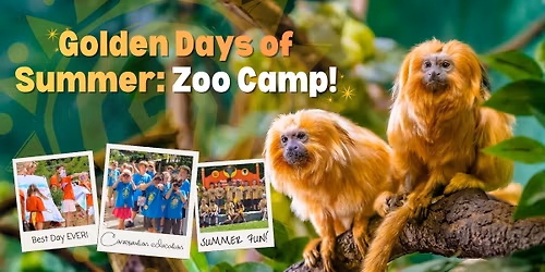 Golden Days of Summer: Zoo Camp!
