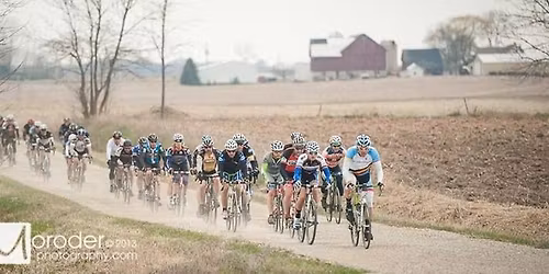 Cheesehead Roubaix XV