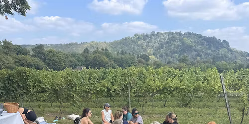 Run to Wine X Denbies Wine Estate