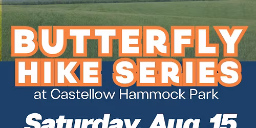 Butterfly Hike At Castellow Hammock Park