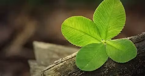 PREPARATION A LA RENCONTRE pour les celibataires