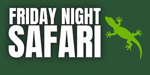 Friday Night Safari