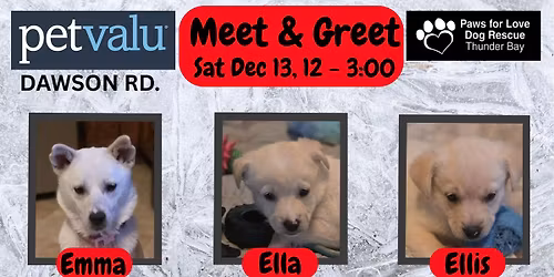 Paws for Love dog rescue Meet and Greet (last one till after christmas)