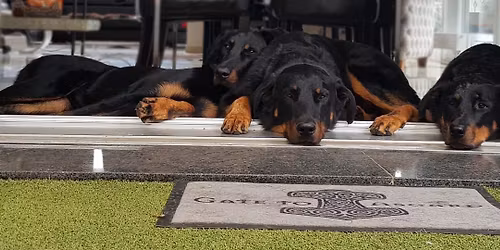 10 Jahre von den H\u00fctern Asgards 