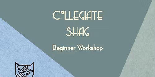 Collegiate Shag Beginner Workshop Reihe