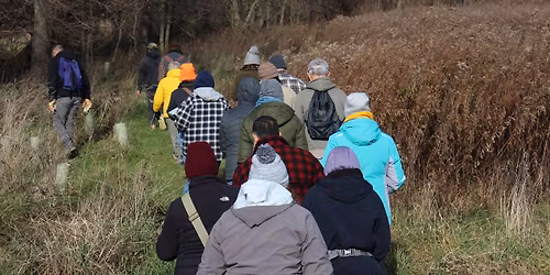 Twigs & Digs - Late Fall Foraging Walk