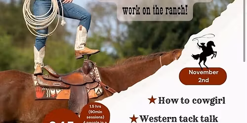 saddle up for success with Nicole Sherwood