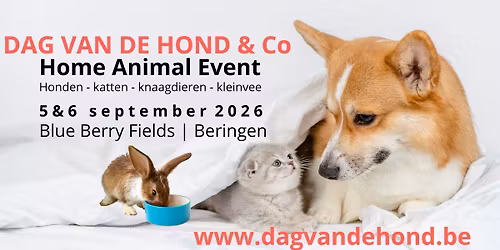 Dag van de Hond & Co 2026