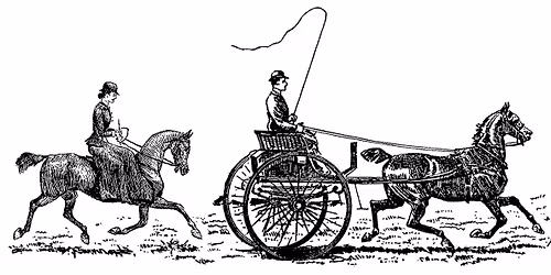 GSCA Members\u2019 Dinner Meeting & Annual FUNd-Raiser Auction!