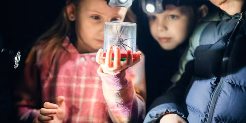 Kids Night Walk of Discovery!