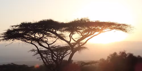 M\u016fj africk\u00fd p\u0159\u00edb\u011bh - Blovice