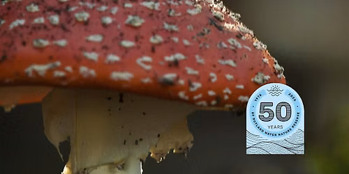 Wild Walk: Fungi Foray  on National Fungus Day at Rutland Water