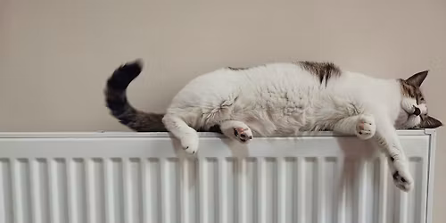 Home Energy Advice session