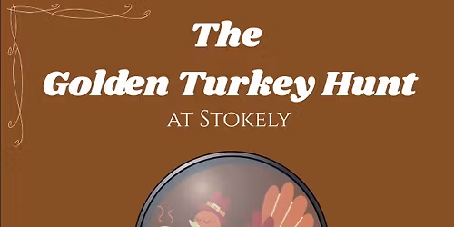 The Golden Turkey Hunt