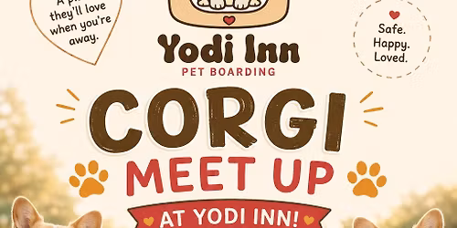 Corgi meet up
