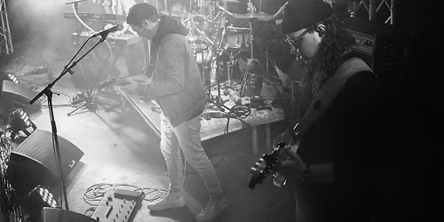 Twin Tiger | TSB Festival of Lights