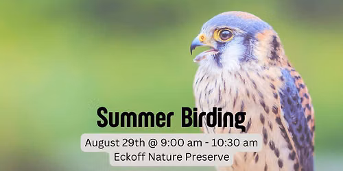 Summer Birding @ Eckoff Nature Preserve