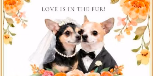 \nPlease join us at The Last Whisky Bar to Celebrate the Wedding of Annie and Taz