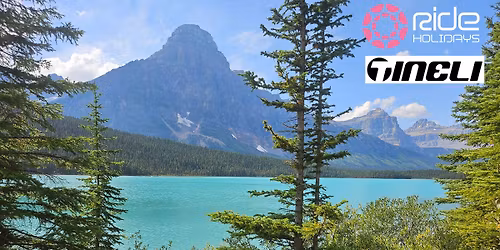 Wellington drinkies...