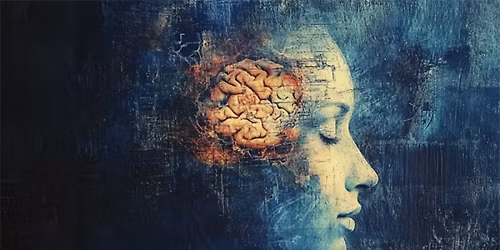 Parking Hidden Brain Live: Shankar Vedantam