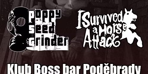 DEATH IS THE ANSWER vol.1