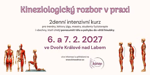 Kineziologick\u00fd rozbor v praxi