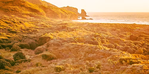 Bethells Cafe Last Big Summer Saturday
