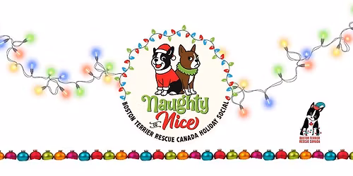 Naughty or Nice ~ Boston Terrier Holiday Social \ud83c\udf84\ud83d\udc3e\ud83c\udf85\ud83c\udffc
