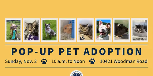 Fall Pop-up Pet Adoption